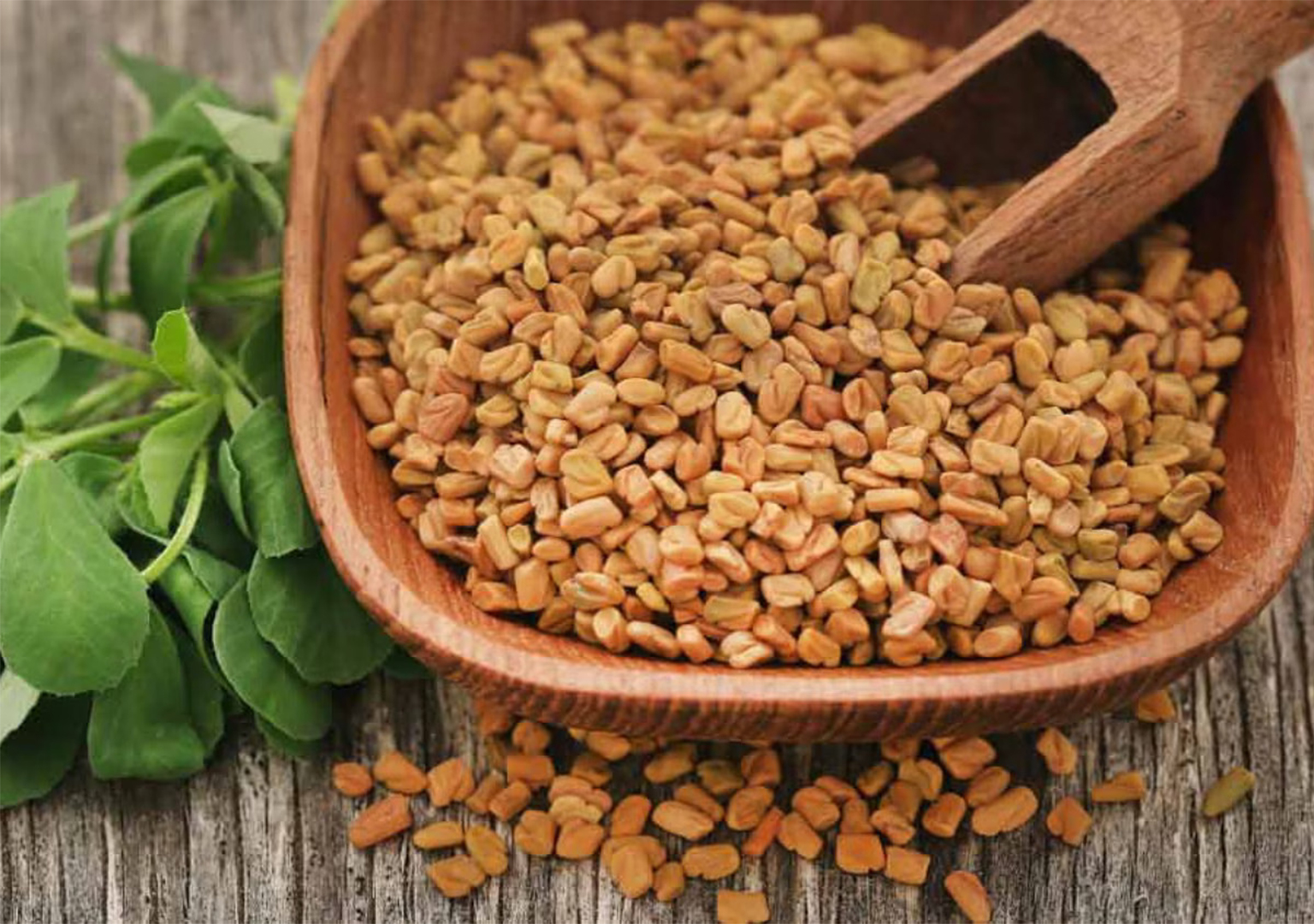 Consume Fenugreek to Increase Libido