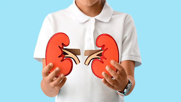 Essential Information Every Parent Should Know About Pediatric Kidney Cancer