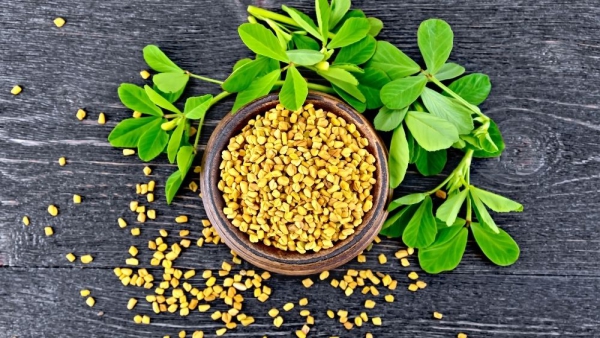 Can Fenugreek Help Improve Libido? Benefits, Uses, and Precautions